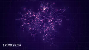 Neuron,System,Complex,Model.,Neural,Net,Structure.,Research,Of,The